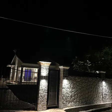 Boltado 莱夫基米